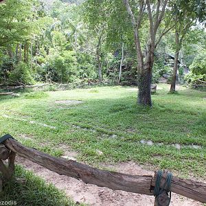 Malayan Tapir Enclosure