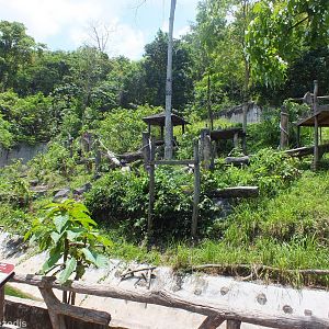 Chimpanzee Enclosure