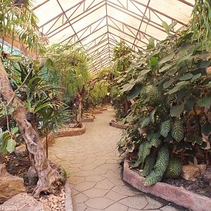 Part of the Cats Complex