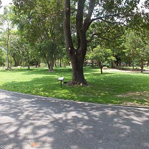 Eld's Deer Drivethrough