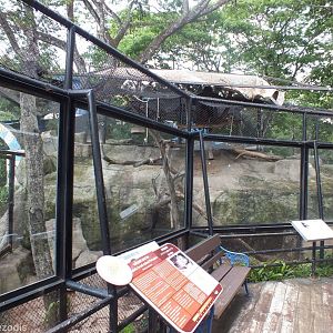 Asiatic Brush-tailed Porcupine Enclosure