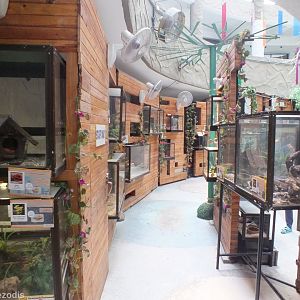 View in the Reptile House