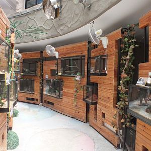 View in the Reptile House