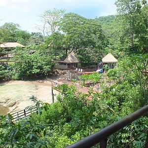 Common Hippo Enclosure