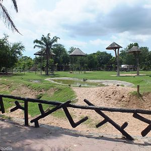 Main Enclosure in the Africa Section
