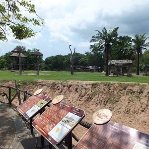 Main Enclosure in the Africa Section