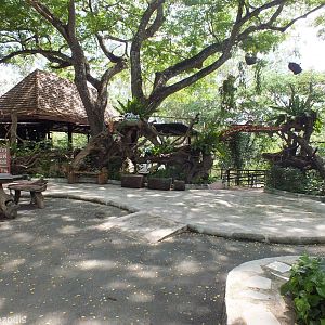 View of Lemur Enclosure Area