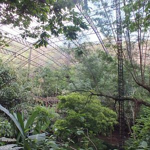 View in the Large Walkthrough Aviary
