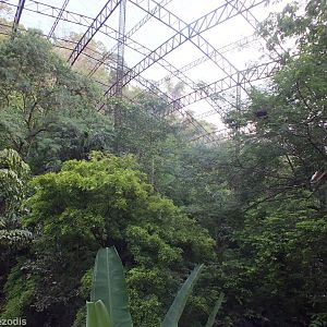 View in the Large Walkthrough Aviary