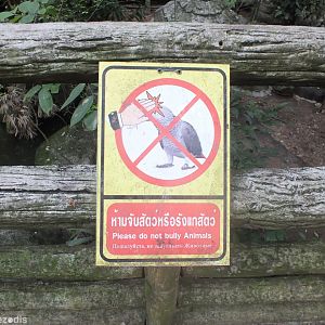 'Don't Bully the Animals'