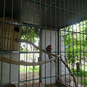 La Vallée des Oiseaux - 25/07/2016