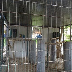 La Vallée des Oiseaux - 25/07/2016