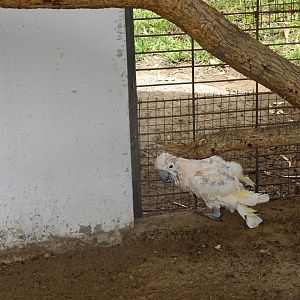 La Vallée des Oiseaux - 25/07/2016