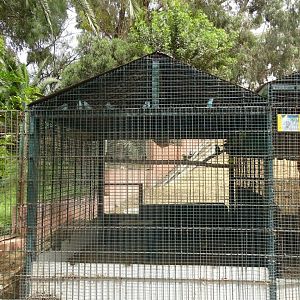 La Vallée des Oiseaux - 25/07/2016