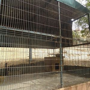 La Vallée des Oiseaux - 25/07/2016