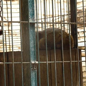 La Vallée des Oiseaux - 25/07/2016