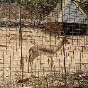 La Vallée des Oiseaux - 25/07/2016