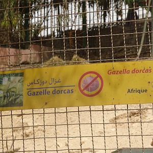 La Vallée des Oiseaux - 25/07/2016