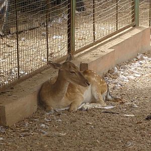 La Vallée des Oiseaux - 25/07/2016