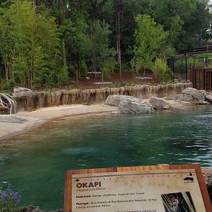 Main View of New Hippo Outpost