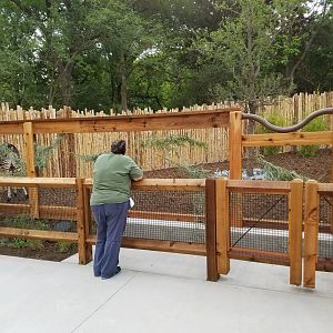 Okapi Exhibit on Path