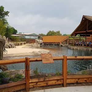 Side View of New Hippo Outpost