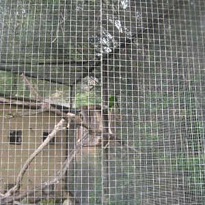 Reserve Africaine de Sigean - Amazon exhibit