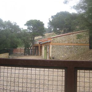 Reserve Africaine de Sigean - Mountain zebra exhibit