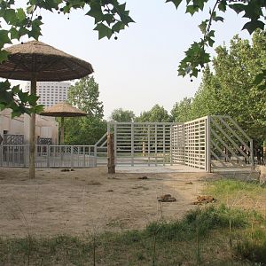 elephant training wall