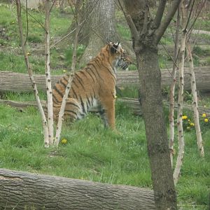 Bronx Zoo: April 23, 2017