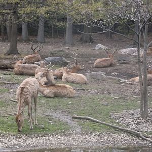 Bronx Zoo: April 23, 2017