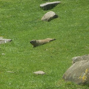 Bronx Zoo: April 23, 2017