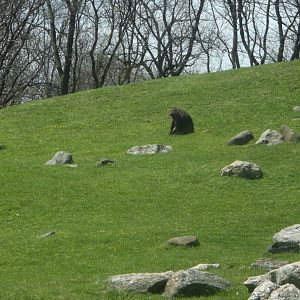 Bronx Zoo: April 23, 2017