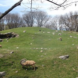 Bronx Zoo: April 23, 2017