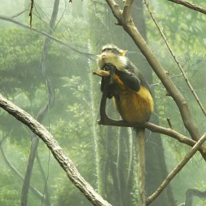 Bronx Zoo: April 23, 2017