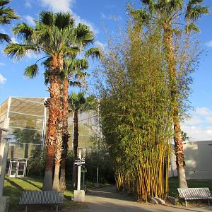 Outdoor View of Butterfly Rainforest