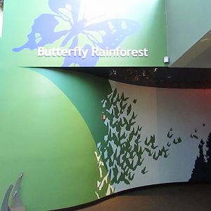 Entrance to the McGuire Center