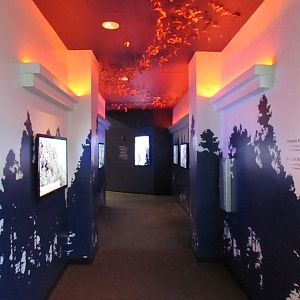 Monarch Butterfly Corridor