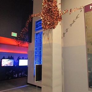 Monarch Butterflies On Column