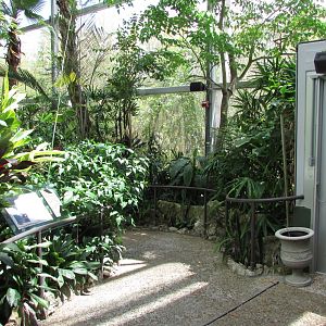 Entering The Butterfly Rainforest