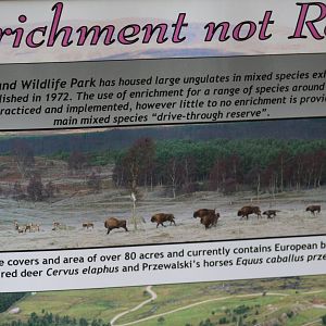 Signage for Drive-Through Exhibit