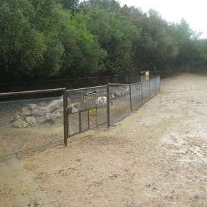 Reserve Africaine de Sigean - Goat exhibit