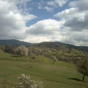 9th April, 850 m above sea level