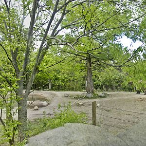 May. 2017 - Rhino Reserve - Indian Rhinoceros Exhibit