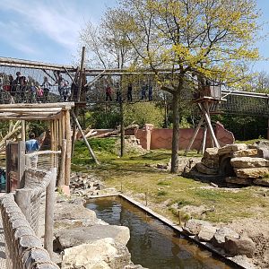 New Sloth Bear Enclosure
