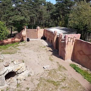 New Sloth Bear Enclosure