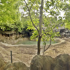 May. 2017 - Rhino Reserve - Male Black Rhinoceros Exhibit