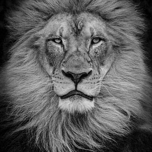 May. 2017 - Africa - John