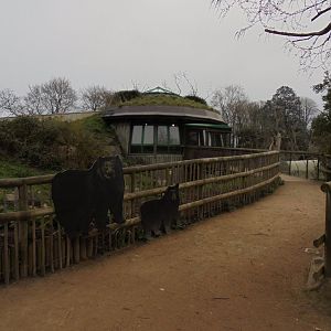 View of "Cloud forest" building