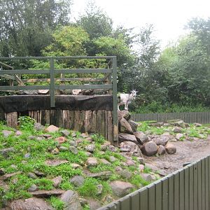 Glad Zoo - Goat enclosure